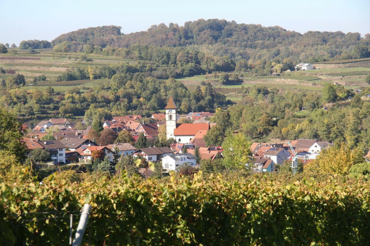 Elfriede - Wlan, 2 Baeder, Kueche, Freisitz, 2 Parkplaetze, Im Ortskern Appartement Malterdingen